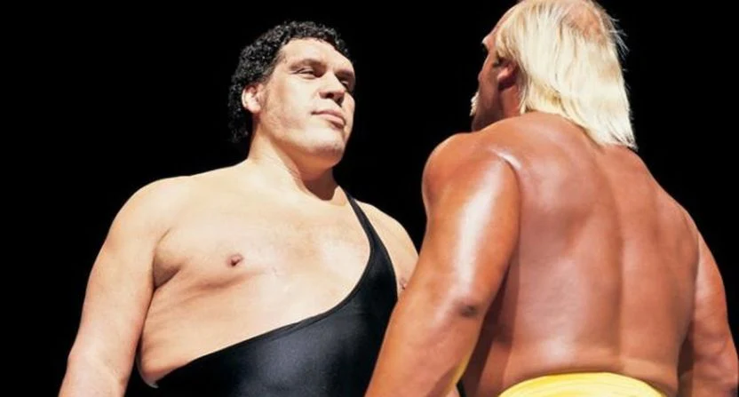 ANDRÉ THE GIANT: ONE LEGENDARY CAREER (15-DVD MEGA SET) André René Roussimoff - Image 3