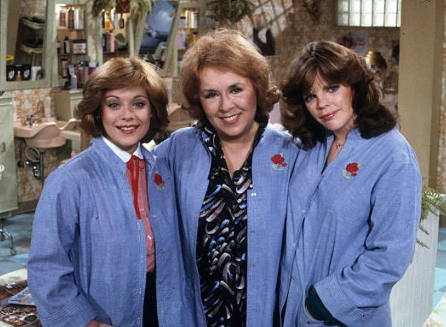 ANGIE – THE COMPLETE SERIES + BONUS (ABC 1979-80) RARE!!! HARD TO FIND!!! Donna Pescow, Robert Hays, Doris Roberts, Debralee Scott, Sharon Spelman, John Randolph, Tammy Lauren - Image 5