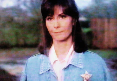 ARLY HANKS MYSTERIES (CBS 8/20/94 - KATE JACKSON PILOT) - Image 3