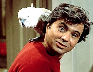 BARETTA - THE COLLECTION (ABC 1975-78) RARE!!! Robert Blake, Tom Ewell, Dana Elcar, Edward Glover - Image 3