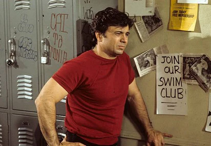 BARETTA - THE COLLECTION (ABC 1975-78) RARE!!! Robert Blake, Tom Ewell, Dana Elcar, Edward Glover - Image 9