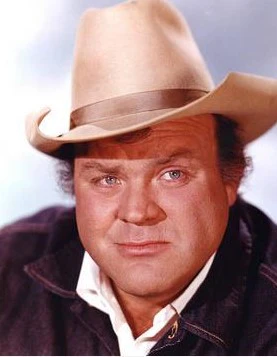 BONANZA - THE COMPLETE OFFICIAL 14 SEASONS (NBC 1959-1973) RETAIL QUALITY!!! + EXCLUSIVE RARE BONUS DISC ONLY FOUND HERE!!! Lorne Green, Michael Landon, Pernell Roberts, Dan Blocker, Victor Sen Yung, David Canary, Mitch Vogel, Tim Matheson - Image 16