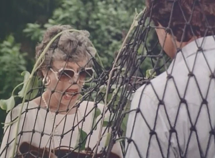 CAROL BURNETT VOL 1: MAGNUM, PI - Image 13