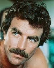 CAROL BURNETT VOL 1: MAGNUM, PI - Image 3