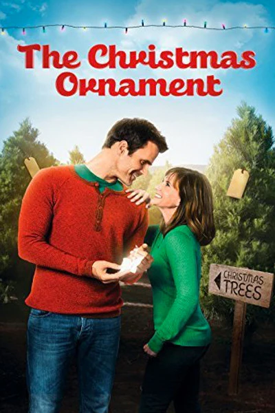CHRISTMAS ORNAMENT, THE (HALLMARK 11/16/13) Kellie Martin, Cameron Mathison, Jewel Staite, Brendan Meyer, Matthew Kevin Anderson, Cole Vigue, Nicole Oliver