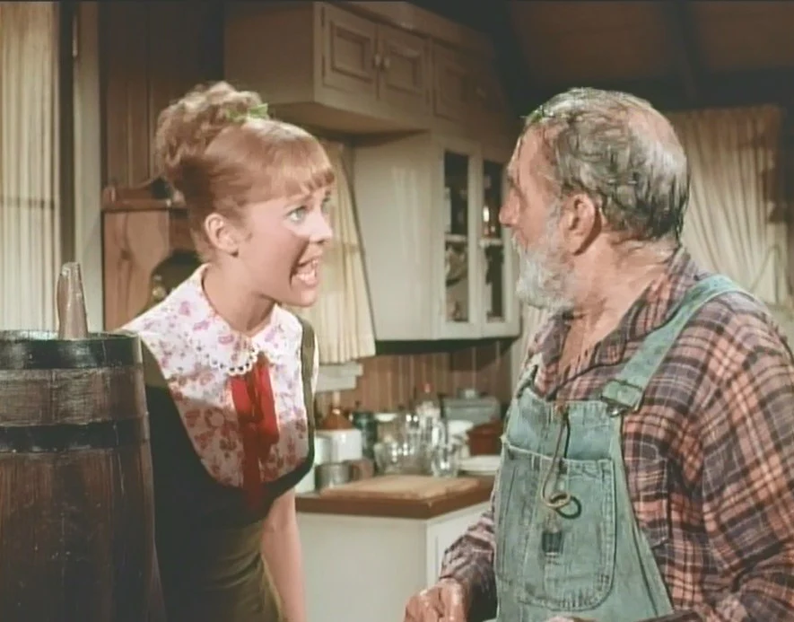 TAMMY - THE COMPLETE SERIES (ABC 1965-66) VERY RARE!!! Debbie Watson, Denver Pyle, Frank McGrath, Dorothy Green, Dennis Robertson, Donald Woods, George Furth, David Macklin, Linda Marshall - Image 5