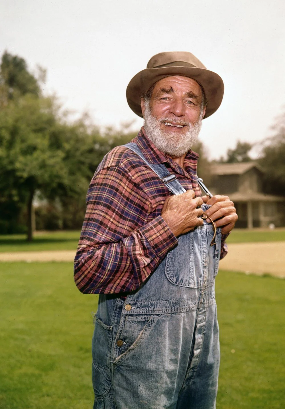 TAMMY - THE COMPLETE SERIES (ABC 1965-66) VERY RARE!!! Debbie Watson, Denver Pyle, Frank McGrath, Dorothy Green, Dennis Robertson, Donald Woods, George Furth, David Macklin, Linda Marshall - Image 8