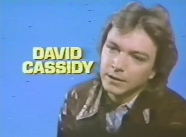 DAVID CASSIDY - MAN UNDER COVER - THE COMPLETE SERIES + BONUS PILOT EPISODE (NBC 1978-79) UPGRADED SET!!! David Cassidy, Simon Oakland, Wendy Rastatter - Image 3