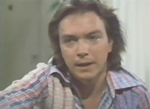 DAVID CASSIDY - MAN UNDER COVER - THE COMPLETE SERIES + BONUS PILOT EPISODE (NBC 1978-79) UPGRADED SET!!! David Cassidy, Simon Oakland, Wendy Rastatter - Image 4