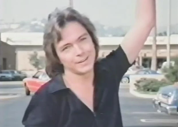 DAVID CASSIDY - MAN UNDER COVER - THE COMPLETE SERIES + BONUS PILOT EPISODE (NBC 1978-79) UPGRADED SET!!! David Cassidy, Simon Oakland, Wendy Rastatter - Image 5