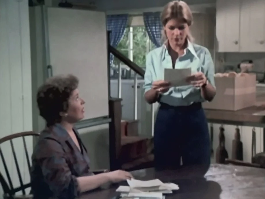 FAMILY - THE COMPLETE SERIES (ABC 1976-80) ALL 86 EPISODES! EXCELLENT QUALITY Sada Thompson, Kristy McNichol, Meredith Baxter-Birney, James Broderick, Quinn Cummings, Gary Frank - Image 15