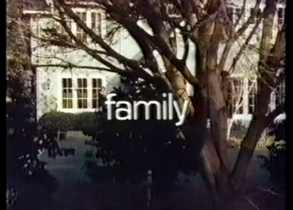 FAMILY - THE COMPLETE SERIES (ABC 1976-80) ALL 86 EPISODES! EXCELLENT QUALITY Sada Thompson, Kristy McNichol, Meredith Baxter-Birney, James Broderick, Quinn Cummings, Gary Frank - Image 2