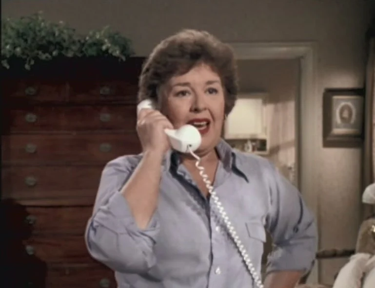 FAMILY - THE COMPLETE SERIES (ABC 1976-80) ALL 86 EPISODES! EXCELLENT QUALITY Sada Thompson, Kristy McNichol, Meredith Baxter-Birney, James Broderick, Quinn Cummings, Gary Frank - Image 5