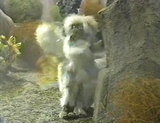 FAR OUT SPACE NUTS - THE COMPLETE SERIES (CBS 1975-76) NEW BROADCAST QUALITY!!! HARD TO FIND!!! Bob Denver, Chuck McCann, Patty Maloney - Image 4