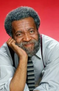 GRADY - THE COMPLETE SERIES + BONUS (NBC 1975-1976) STUDIO QUALITY!!! Whitman Mayo, Haywood Nelson, Carol Cole, Joe Morton, Rosanne Katon - Image 3