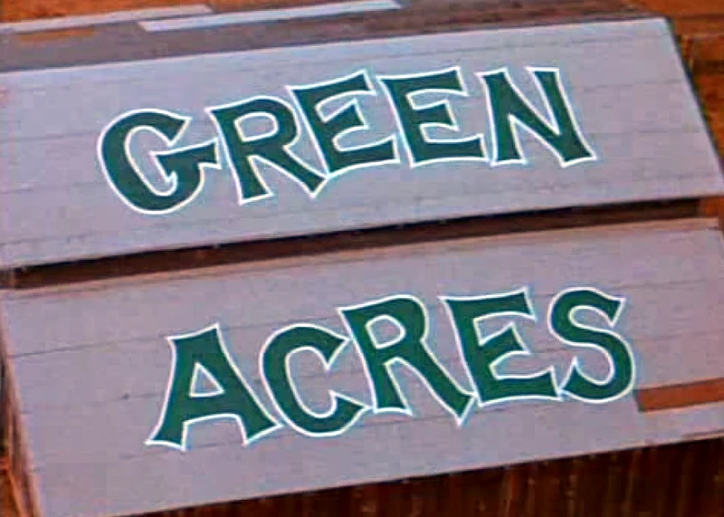 GREEN ACRES - THE COMPLETE SERIES + BONUS MOVIE & EXTRAS!!! (CBS 1965-1971) RETAIL QUALITY!!! Eddie Albert, Eva Gabor, Pat Buttram, Tom Lester, Frank Cady, Alvy Moore, Mary Grace Canfield, Sid Melton, Hank Patterson - Image 7
