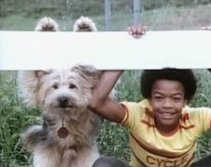 HERE'S BOOMER - THE COMPLETE SERIES (NBC 1979-1983) EXCELLENT QUALITY!!! Scott Baio, Doris Roberts, Patrick Cassidy, Margaret Hamilton, Tom Bosley, Roddy McDowall, Matthew Laborteaux, Michael J. Fox, Rue McClanahan, Todd Bridges, Jonathan Frakes - Image 3