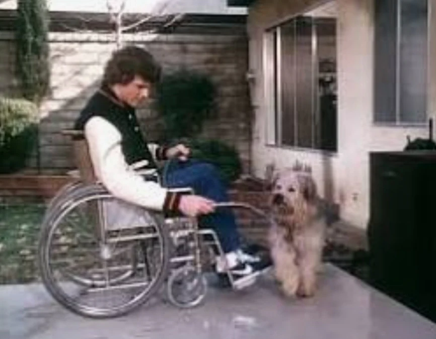 HERE'S BOOMER - THE COMPLETE SERIES (NBC 1979-1983) EXCELLENT QUALITY!!! Scott Baio, Doris Roberts, Patrick Cassidy, Margaret Hamilton, Tom Bosley, Roddy McDowall, Matthew Laborteaux, Michael J. Fox, Rue McClanahan, Todd Bridges, Jonathan Frakes - Image 4