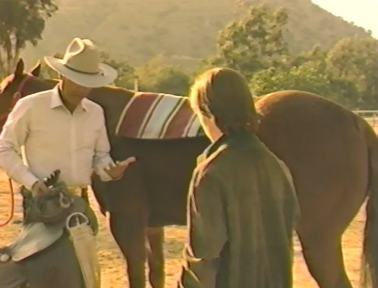 INTRODUCTION TO HORSEBACK RIDING AND HORSE CARE WITH STEFANIE POWERS (1989) VERY RARE! Stefanie Powers - Image 11