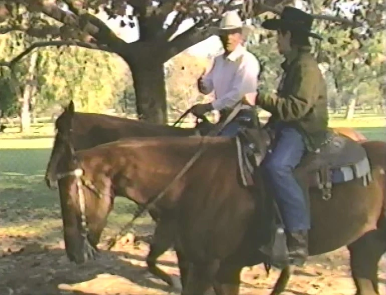 INTRODUCTION TO HORSEBACK RIDING AND HORSE CARE WITH STEFANIE POWERS (1989) VERY RARE! Stefanie Powers - Image 12