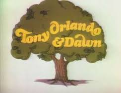 JERRY LEWIS VOL 1 - TONY ORLAND & DAWN / DONNY & MARIE (1976) - Image 3
