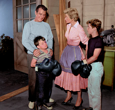 LEAVE IT TO BEAVER - THE COMPLETE SEIES (CBS & ABC 1957-63) Jerry Mathers, Tony Dow, Barbara Billingsley, Hugh Beaumont, Ken Osmond - Image 3