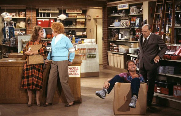 LIFE WITH LUCY – THE COMPLETE SERIES (ABC 1986) Lucille Ball, Gale Gordon, Ann Dusenberry, Larry Anderson, Jenny Lewis, Philip J. Amelio II, Donovan Scott - Image 11