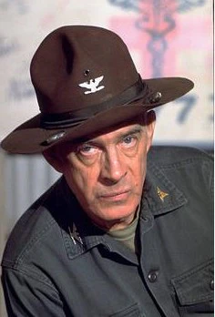 M*A*S*H - THE COMPLETE SERIES (CBS 1972-83) Alan Alda, Wayne Rogers, McLean Stevenson, Loretta Switt, Larry Linville, Gary Burghoff, Mike Farrell, Harry Morgan, Jamie Farr, Williams Christopher, David Ogden Stiers - Image 12