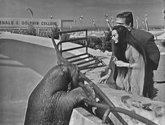MARINELAND CARNIVAL WITH THE MUNSTERS (CBS 4/18/65) Fred Gwynne, Yvonne de Carlo, Al Lewis, Pat Priest, Butch Patrick, The New Christy Minstrels - Image 6