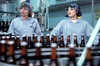 LAVERNE & SHIRLEY - THE COMPLETE SERIES (ABC 1976-83) EXCELLENT QUALITY!  Penny Marshall, Cindy Williams, Michael McKean, David Lander, Eddie Mekka, Phil Foster, Betty Garrett - Image 3