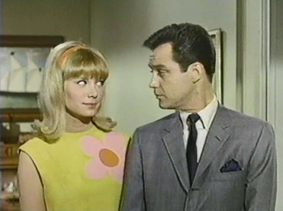 OCCASIONAL WIFE - THE COMPLETE SERIES (NBC 1966-1967) VERY RARE!!! Michael Callan, Patricia Harty, Jack Collins - Image 7