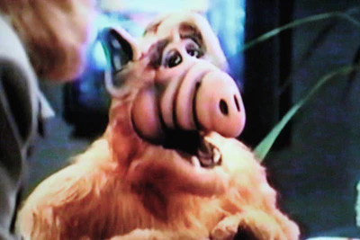 PROJECT: ALF (ABC-TVM, 2/17/96) - Image 10