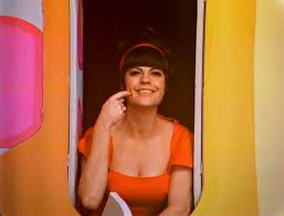 ROWAN & MARTIN’S LAUGH IN – THE COMPLETE SERIES (NBC 1967-73) EXCELLECT QUALITY!!! Dan Rowan, Dick Martin, Lily Tomlin, Judy Carne, Ruth Buzzi, Arte Johnson, Gary Owens, Jo Anne Worley, Alan Sues, Henry Gibson, Teresa Graves - Image 7