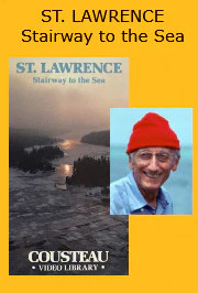 ST. LAWRENCE: STAIRWAY TO THE SEA (DOC 1982) VERY RARE!!! HARD TO FIND!!! Jacques Cousteau, Gordon Pinsent