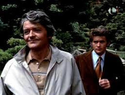 THAT CERTAIN SUMMER (ABC-TVM 11/1/72) Hal Holbrook, Martin Sheen, Scott Jacoby, Hope Lange, Joe Don Baker - Image 3
