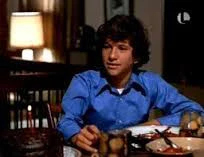 THAT CERTAIN SUMMER (ABC-TVM 11/1/72) Hal Holbrook, Martin Sheen, Scott Jacoby, Hope Lange, Joe Don Baker - Image 5