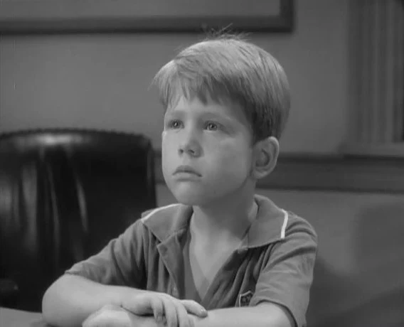ANDY GRIFFITH SHOW, THE - THE COMPLETE SERIES (CBS 1960-68) Andy Griffith, Don Knotts, Ron Howard, Frances Bavier, Howard McNear, George Lindsey, Jim Nabors, Aneta Corsaut, Hal Smith - Image 3