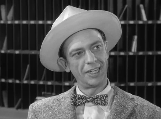 ANDY GRIFFITH SHOW, THE - THE COMPLETE SERIES (CBS 1960-68) Andy Griffith, Don Knotts, Ron Howard, Frances Bavier, Howard McNear, George Lindsey, Jim Nabors, Aneta Corsaut, Hal Smith - Image 5