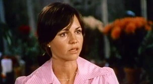 GIRL WITH SOMETHING EXTRA, THE - THE COMPLETE SERIES (NBC 1973-74) VERY RARE!!! EXCELLENT QUALITY!!! Sally Field, John Davidson, Teri Garr, Henry Jones, Zohra Lampert - Image 3