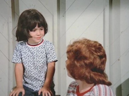 PARTRIDGE FAMILY, THE - THE COMPLETE SERIES + BONUS MOVIE (ABC 1970-74) David Cassidy, Shirley Jones, Susan Dey, Danny Bonaduce, Dave Madden, Jeremy Gelbwaks, Susanne Crough, Ricky Segall - Image 15