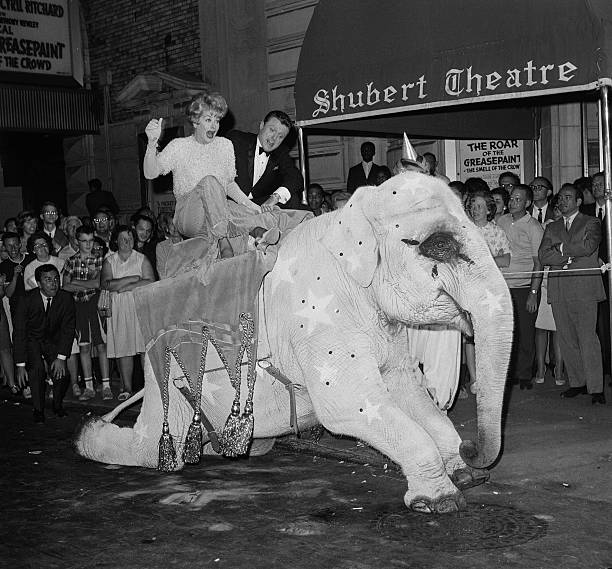 THE STEVE LAWRENCE SHOW WITH LUCILLE BALL (CBS 9/13/65) - Image 3